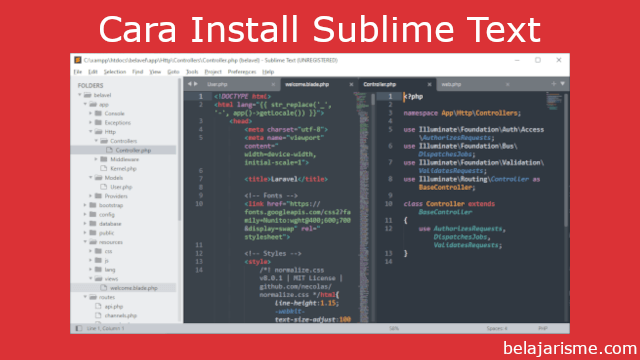 sublime text install path